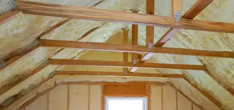 démoussage toiture Angers-1