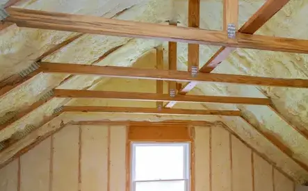 démoussage toiture Les Ponts-de-Cé-1