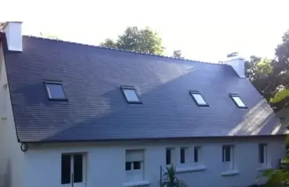 démoussage toiture Trélazé-5